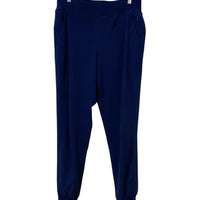 Lululemon Navy Size 8 Solid Pants Almost New