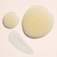 Body Serum - Unscented